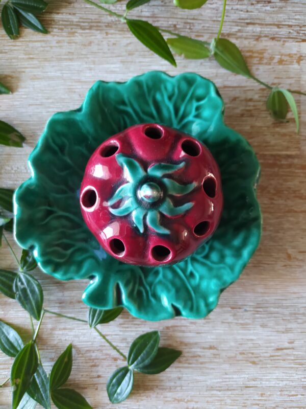 Tomate Vallauris – Image 5