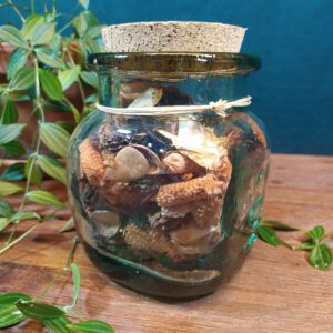 Bocal en Verre Vintage avec son Bouchon en Liège et Pot Pourri