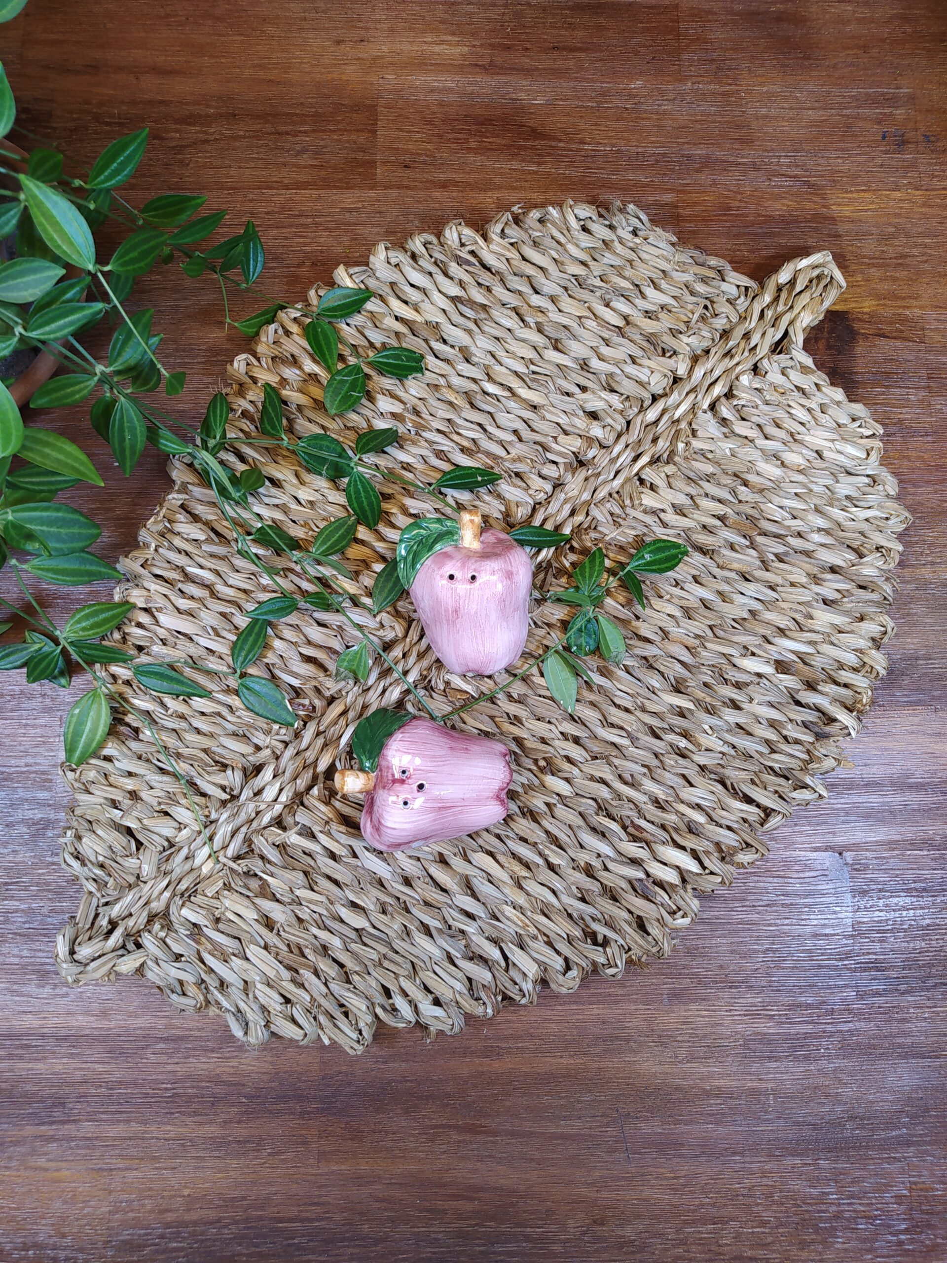 Salière et poivrier en céramique forme légumes vieux rose Brocadabra.