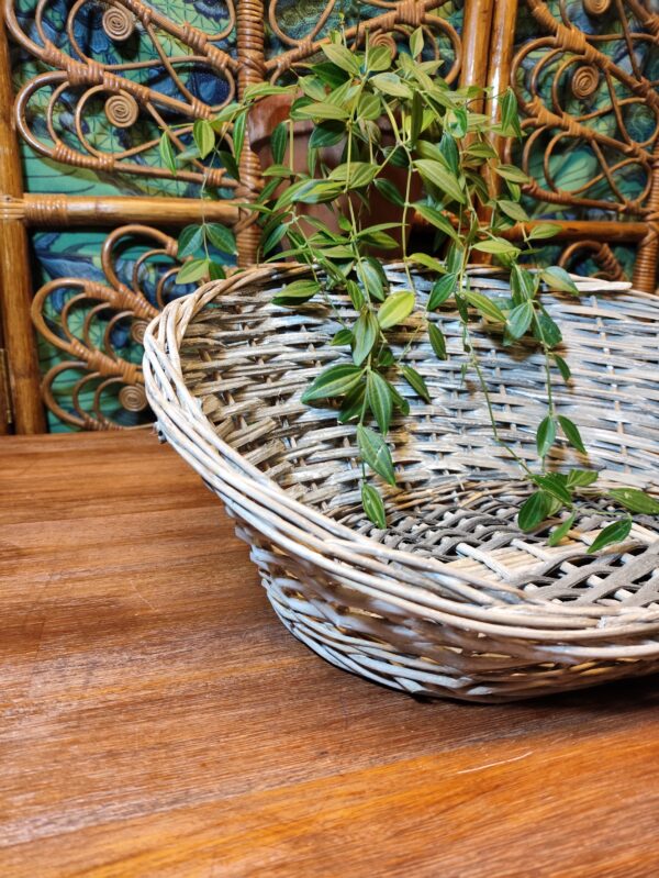 Panier en Osier Tressé Teinte Grise Délavée – Image 2