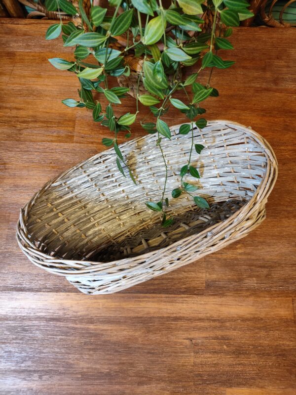 Panier en Osier Tressé Teinte Grise Délavée – Image 7