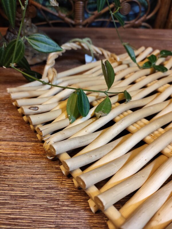 Plateau en Bois Tressé Beige Bohème – Image 3
