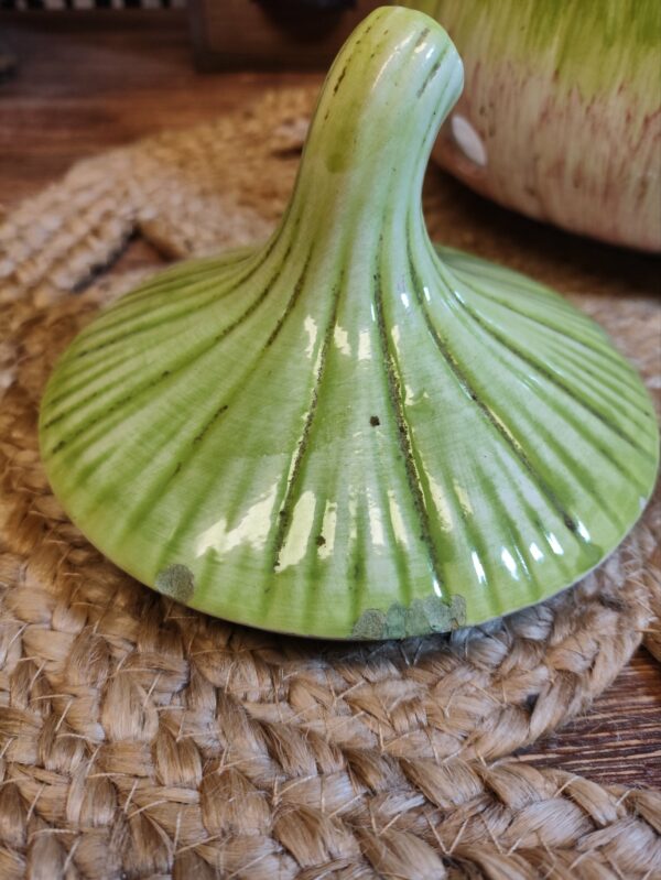 Pot Oignon XL en Rose et Vert – Image 12