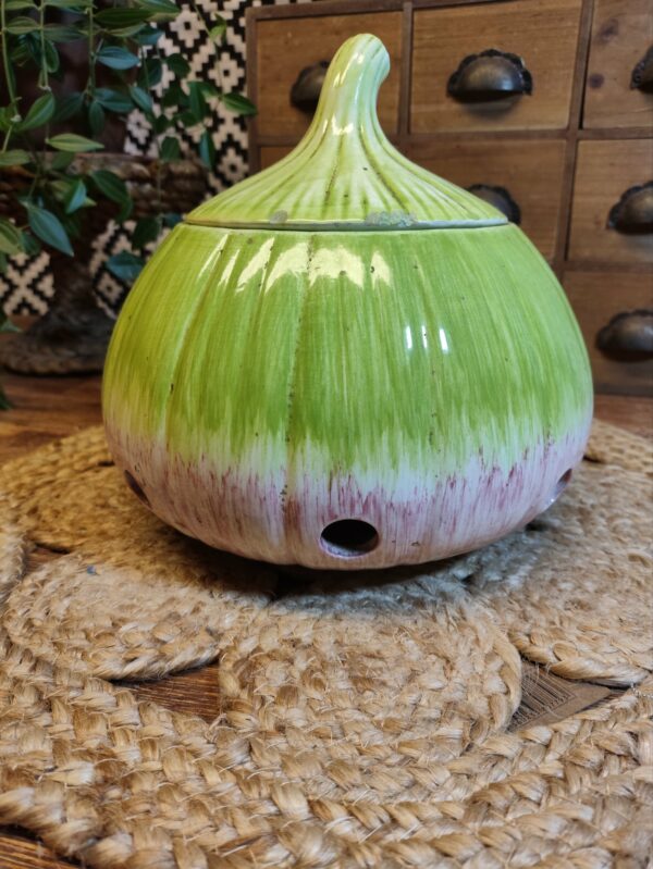 Pot Oignon XL en Rose et Vert