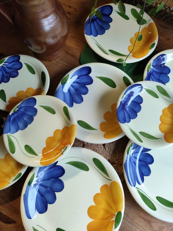 Service de Table 9 Assiettes Fleuries