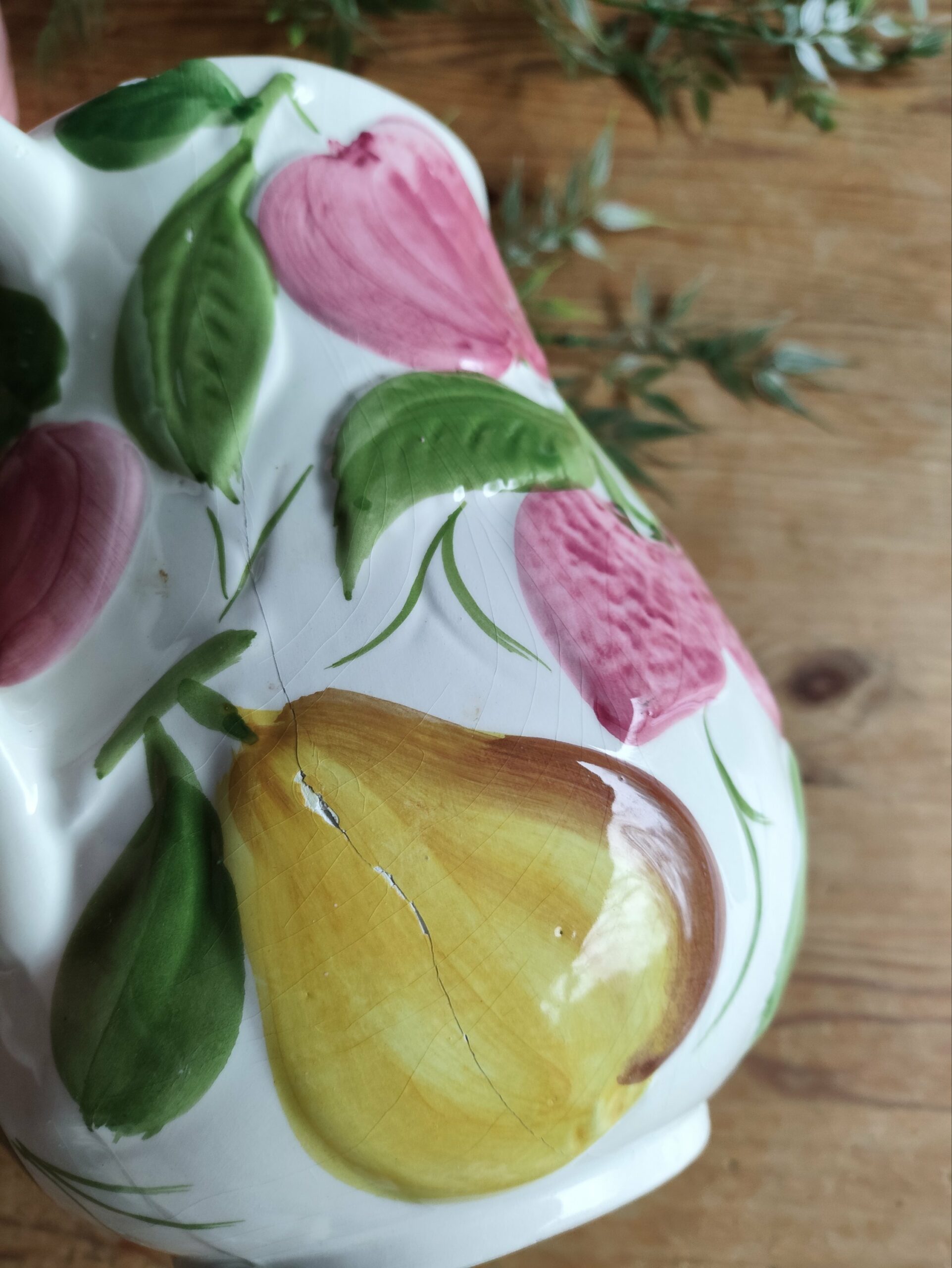 Service Barbotine Plantes et Fruits – Image 12