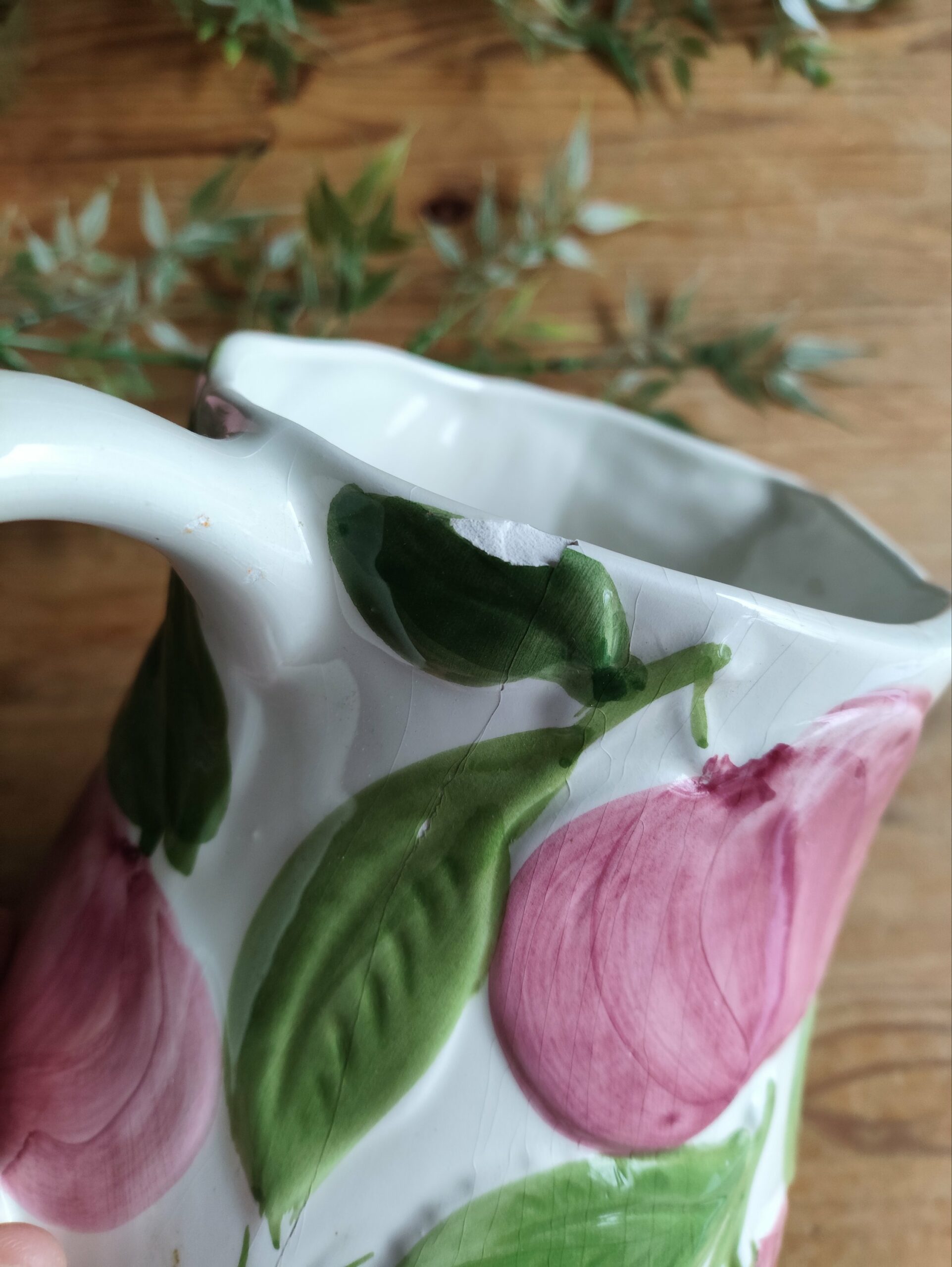 Service Barbotine Plantes et Fruits – Image 5