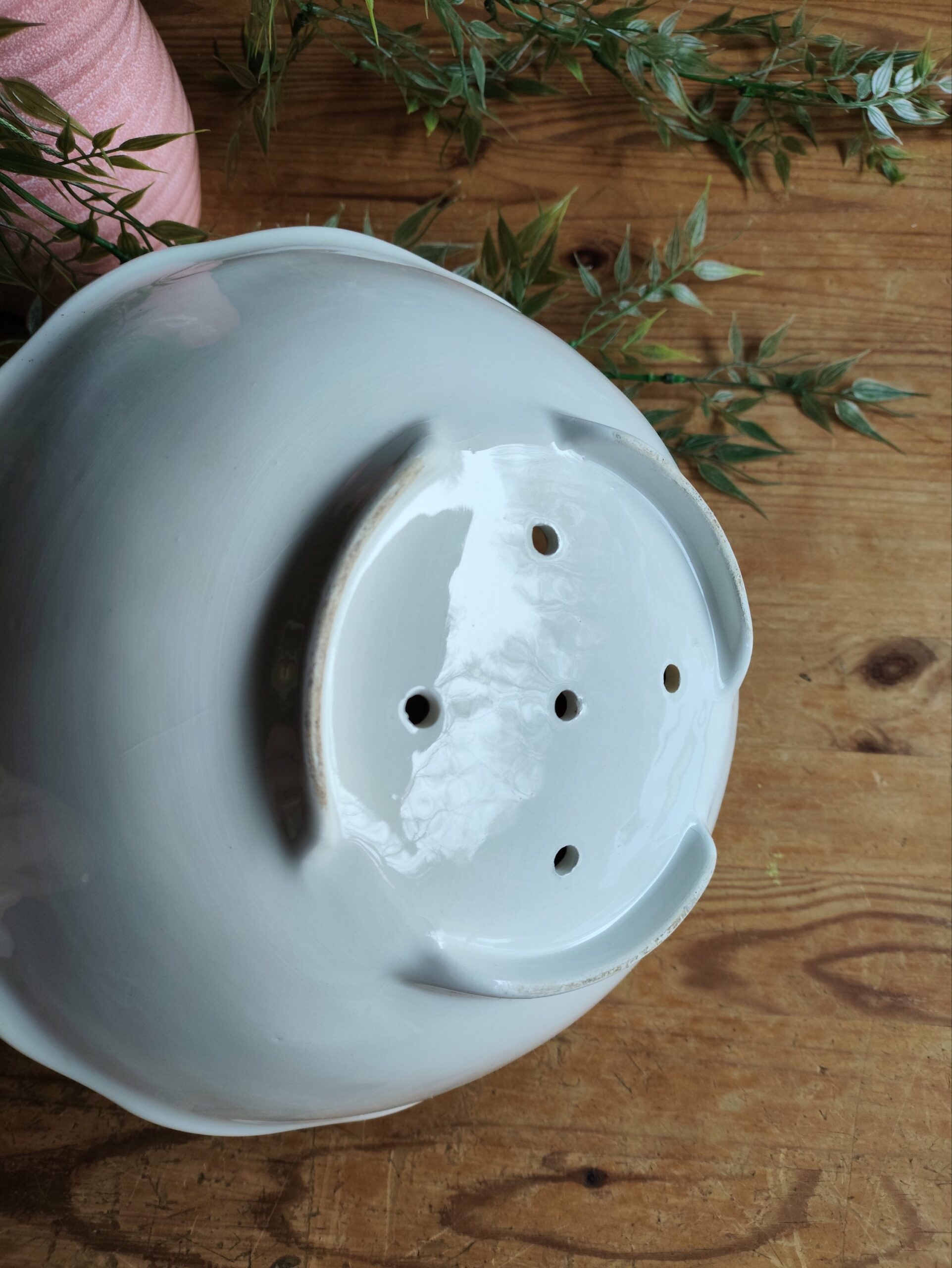 Service Barbotine Plantes et Fruits – Image 9