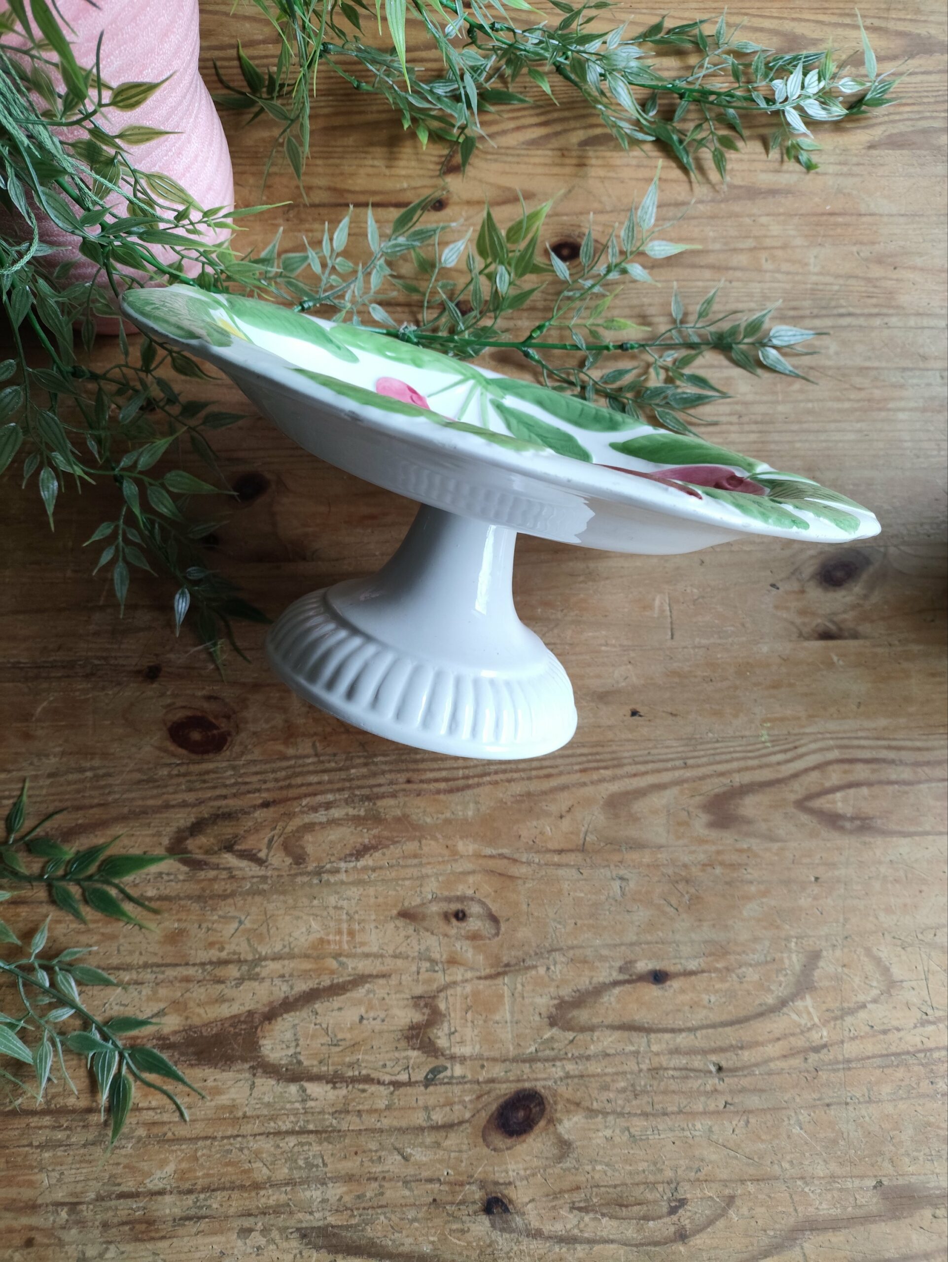 Service Barbotine Plantes et Fruits – Image 11