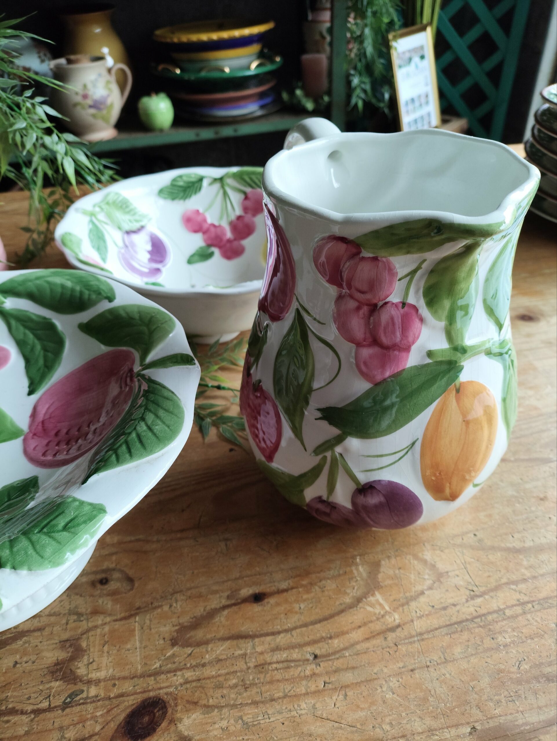 Service Barbotine Plantes et Fruits – Image 2